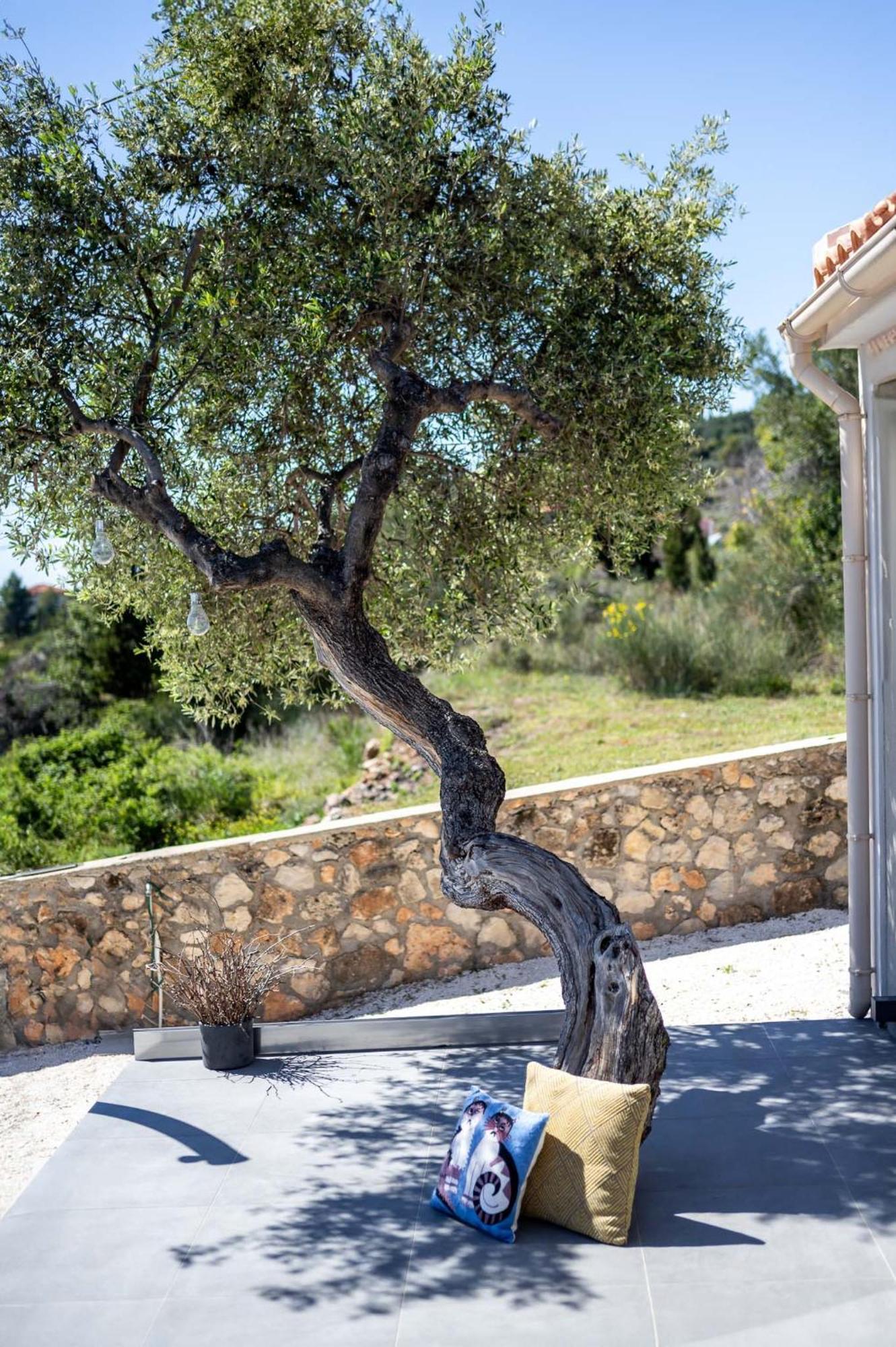فيلا Tree Of Life Valeriános المظهر الخارجي الصورة